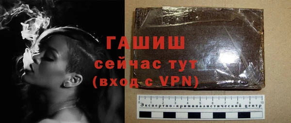 сатива Лабытнанги