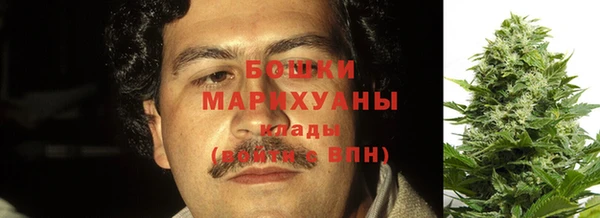 сатива Лабытнанги