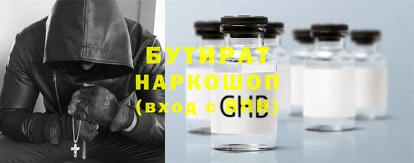 сатива Лабытнанги