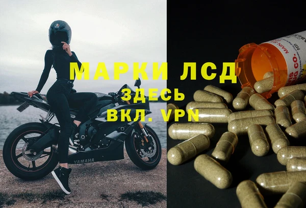 сатива Лабытнанги