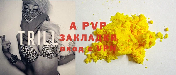 сатива Лабытнанги