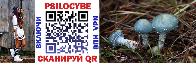 Псилоцибиновые грибы Psilocybe  Купить закладки  Невельск 